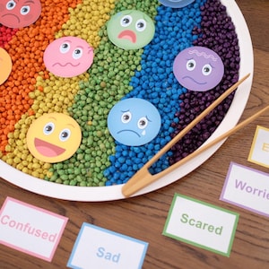 May include: A white plate with a rainbow of colored beans and different colored circles with facial expressions on them. The plate is on a wooden surface with cards that say "Confused", "Sad", "Scared", and "Worried".