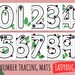 PRINTABLE Ladybug Number Tracing Activity for Kids Homeschool Learning Preschoolers Busy Books ...
