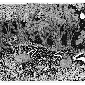 May include: A detailed black and white illustration depicting a nocturnal forest scene. Three badgers with black and white striped faces are in the foreground. The background shows trees, a full moon, and a starry sky, creating a woodland atmosphere.