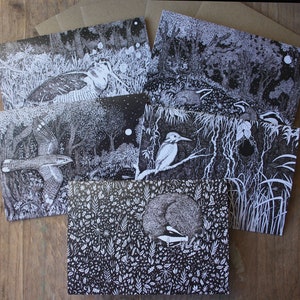 Sepia Wildlife Cards Confezione da 5