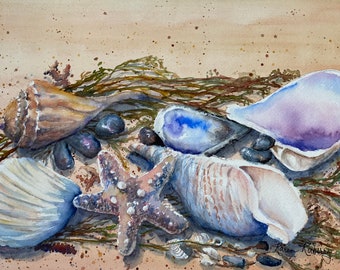 Treasury of Shells - WATERCOLOR