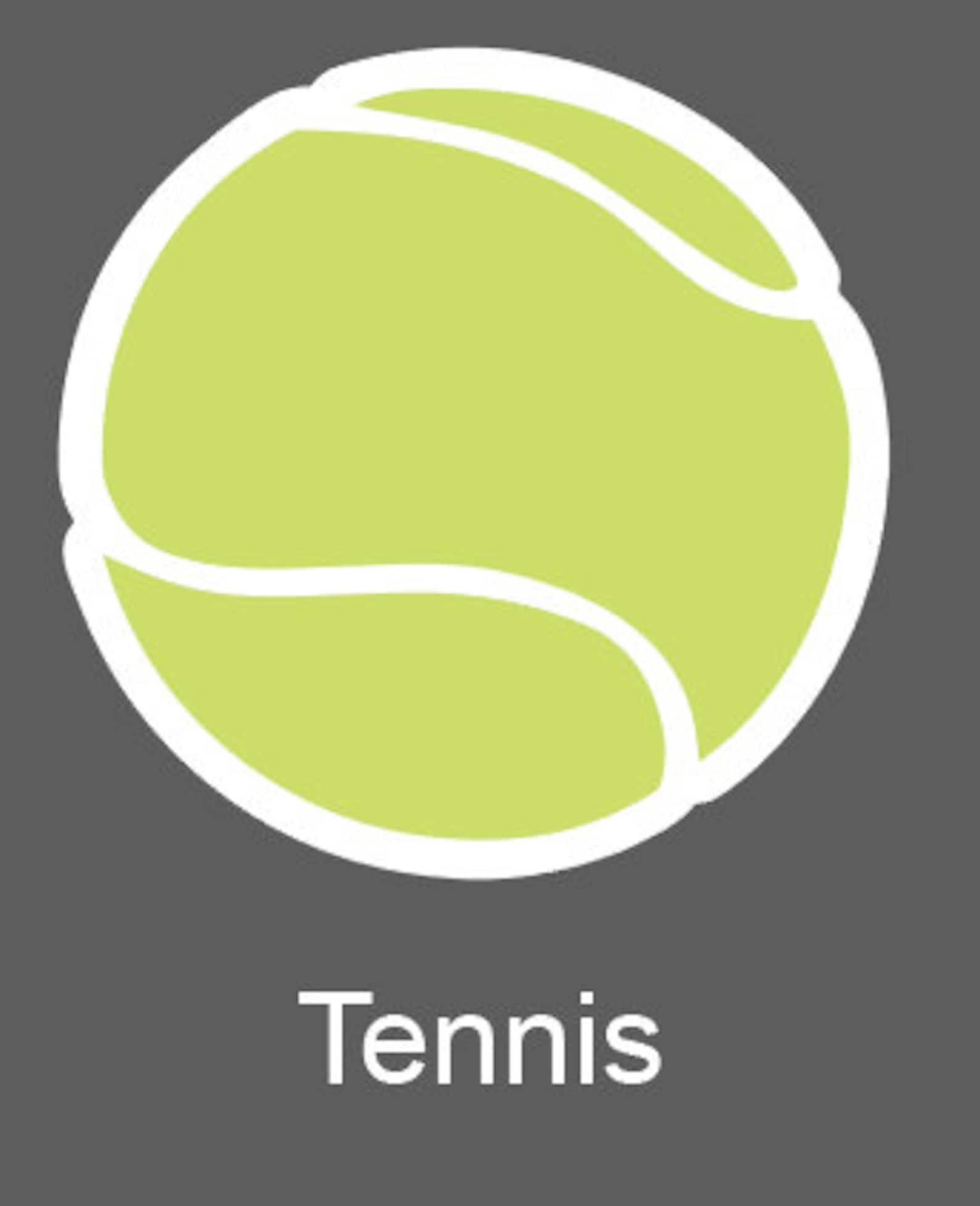 Sports Ball Stickers soccer Baseball Volleyball Etsy