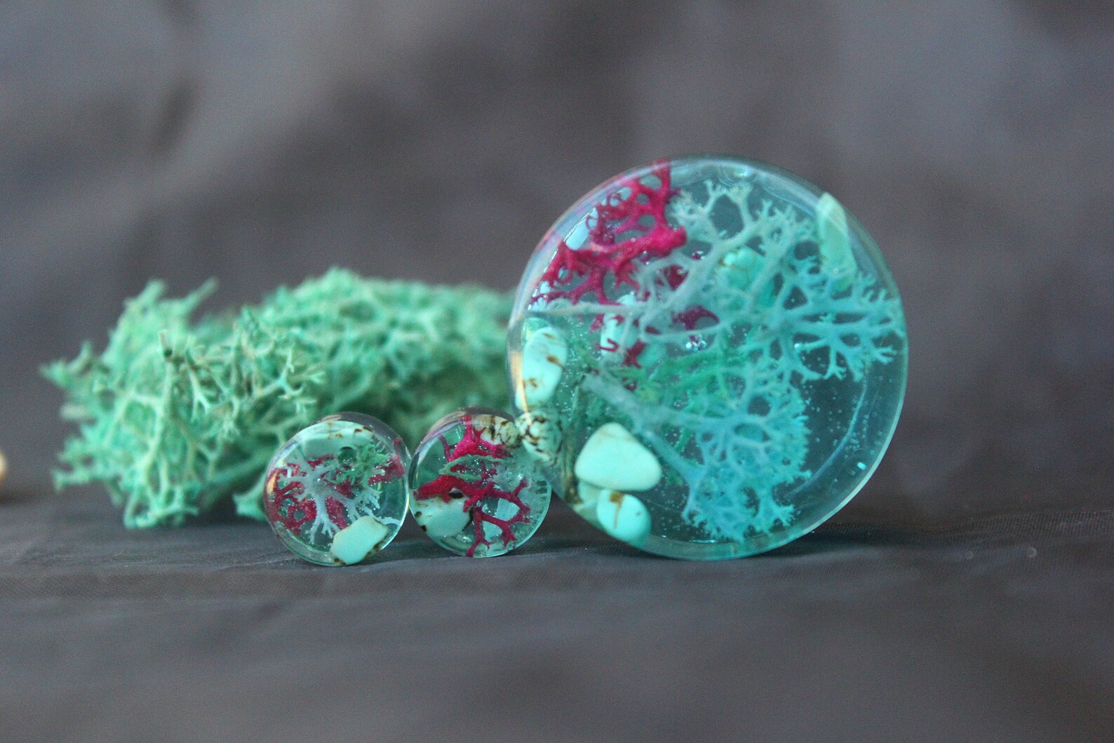 Blue Stone Ear Plug Gauges With Moss and Turquoise Stone 0g Etsy