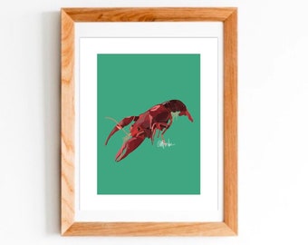 Hand Drawn Cajun Crawfish Art Print PRINT ONLY