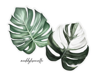 Monstera / Variegated Monstera sticker - 2 sizes available - clear vinyl sticker - Rare variegated leaf - Car decal - Monstera Decal