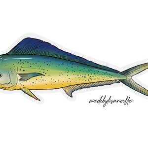 May include: Illustration of a mahi-mahi fish with a yellow, green, and blue color scheme. The fish has a distinctive dorsal fin and tail. The text "madebylisaroelle" is written in cursive on the bottom right.