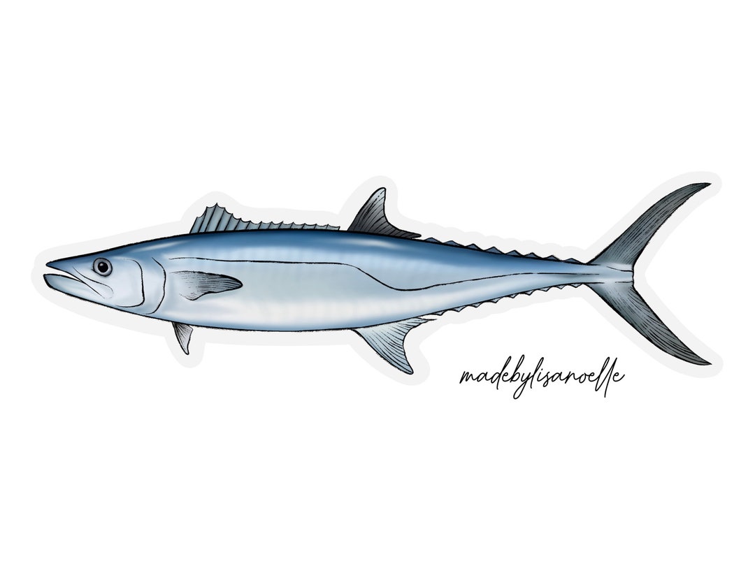 King Mackerel Sticker, 4 Inch clear Edge Vinyl Etsy