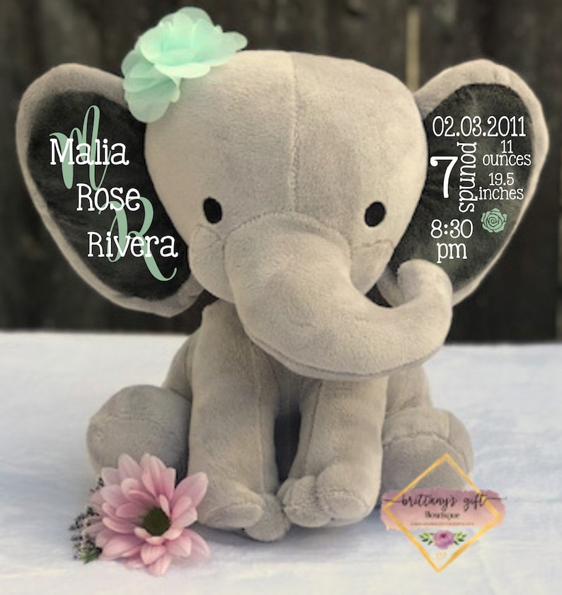 Baby Girl Gift, Newborn Keepsake, Birth Announcement, Personalized Stuffed Animal, Baby Boy Gift, Birth Gift, New Parents Gift, Baby Shower Mint