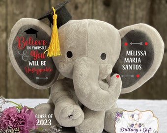 Graduation Gift, Personalized Graduation Gift, Grad Gift, Graduation Keepsake, Personalized Stuffed Animal, Preschool Gradation Gift