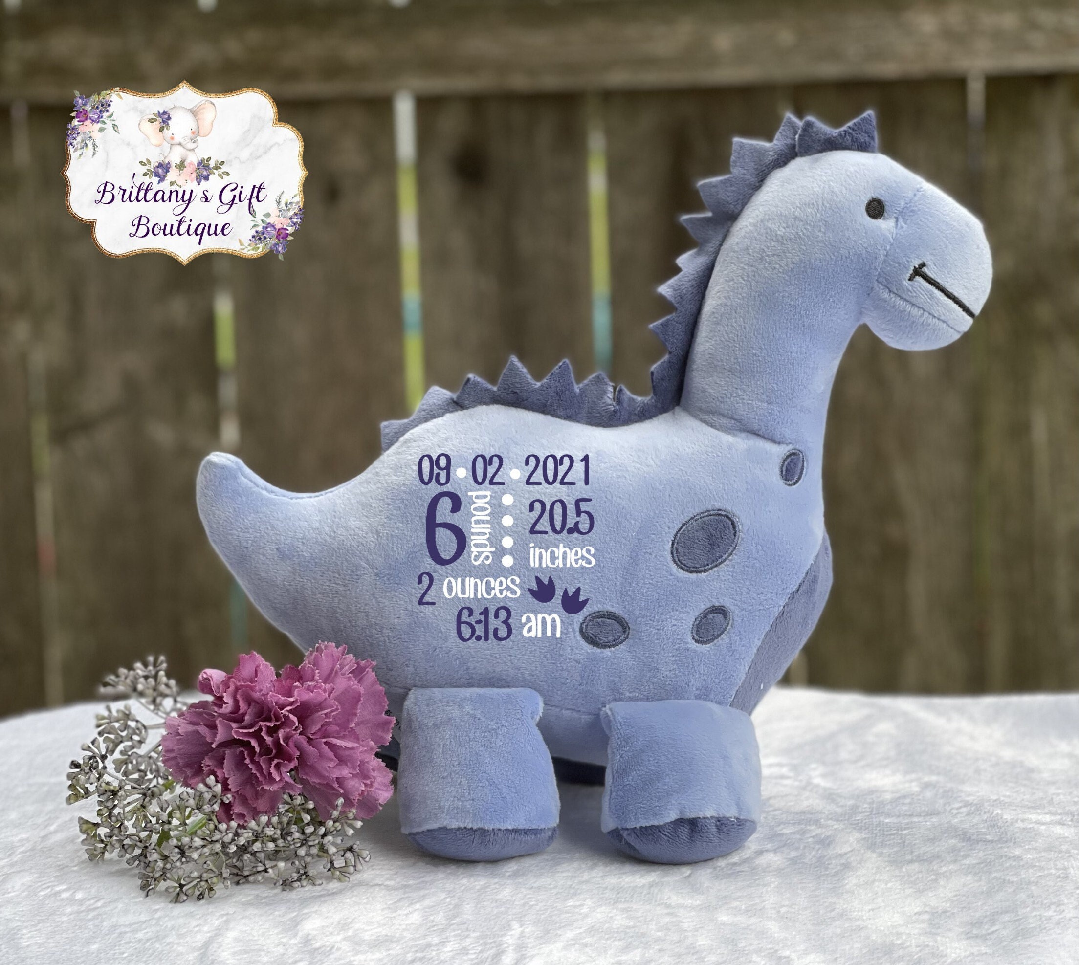 Personalized Birth Announcement Dino Stuffed Animal: Newborn Keepsake