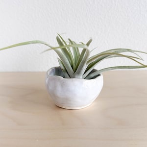 Small dish, handmade ceramic, subtle purple blue, pinch pot, glossy pottery, jewelry ring dish, crystalline trinket holder, air plant holder