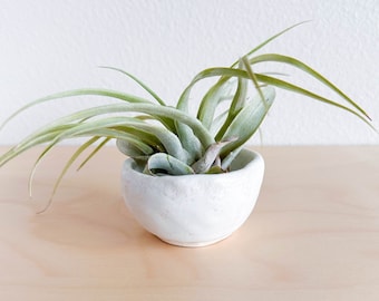 Matte white pinch pot, ceramic clay, handmade, tiny cute mini, minimalist decor, speckled, small ring dish, dip sauce bowl, air plant holder