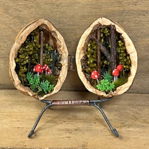 Miniaturwelten in der Walnuss, Waldspaziergang, Miniatur Diorama Curio