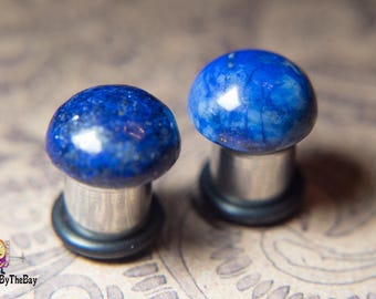 Gorgeous and elegant blue turquoise hider plugs plugs, stone plugs,  2g - 6mm, 0g -8mm 00g -10mm