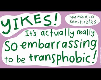 Bumper sticker! Yikes! It's actually so embarrassing to be transphobic 7.5x4 inches