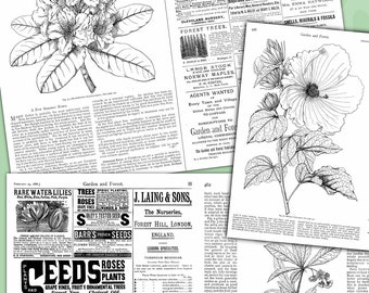 Vintage 1888 Garden Forest News Ephemera: Botanical Junk Journal Pages (Digital Printable)