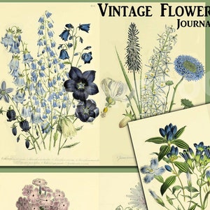 ヴィンテージ フラワー ガーデン ジャーナル ペーパー、1800 年代のイラスト、植物の花、ジャンク ジャーナル ページ、エフェメラ、野生の花、植物学、植物学