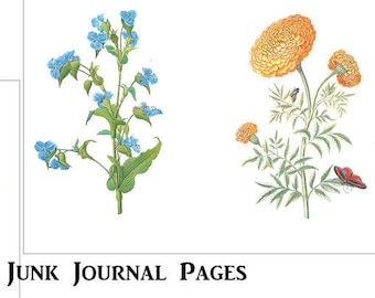 4- Vintage Botanical Journal Pages, Vintage Flowers, Junk Journal Paper, Printable Download, Altered Book, Antique Floral, Retro 1800's