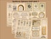 54 Labels -Vintage 1800’s Apothecary GOLD Labels #2, Vintage Label Ephemera Advertisements Scripts Fonts Antique Paper Digital 
