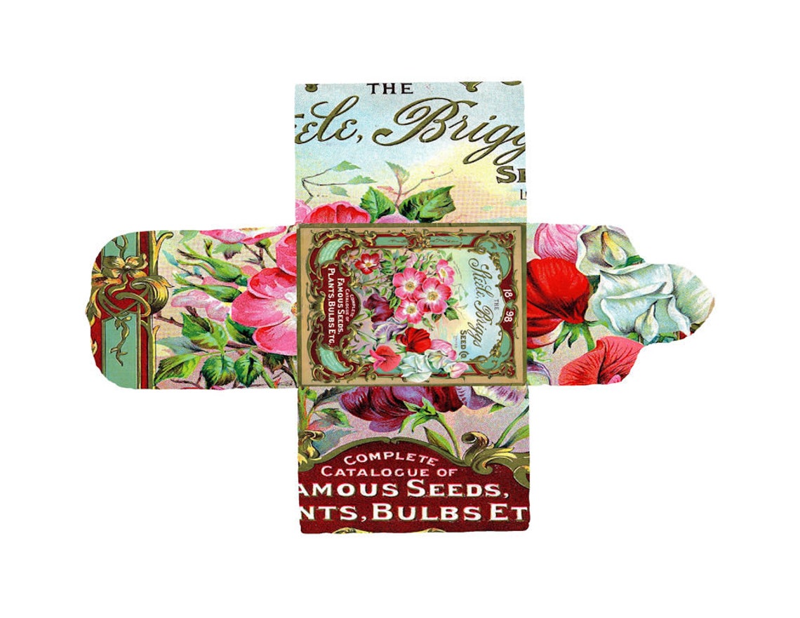 Vintage Sewing Needle Type Packet Ephemera No Zip File Etsy