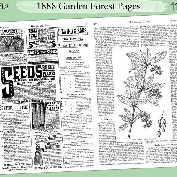 Vintage 1888 Garden Forest News Junk Journal Pages, Botanical Botany Flower Seeds Ephemera Antique Garden Digital Printable, Landscape Paper