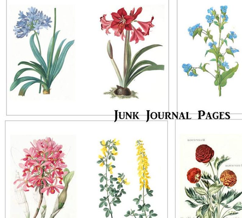 Flower Botanical Junk Journal Pages Kit