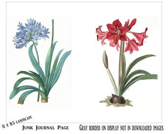Vintage Botanical Journal Pages 1, Vintage Flowers, Junk Journal Paper, Printable Download, Altered Book, Antique Floral, Retro 1800's