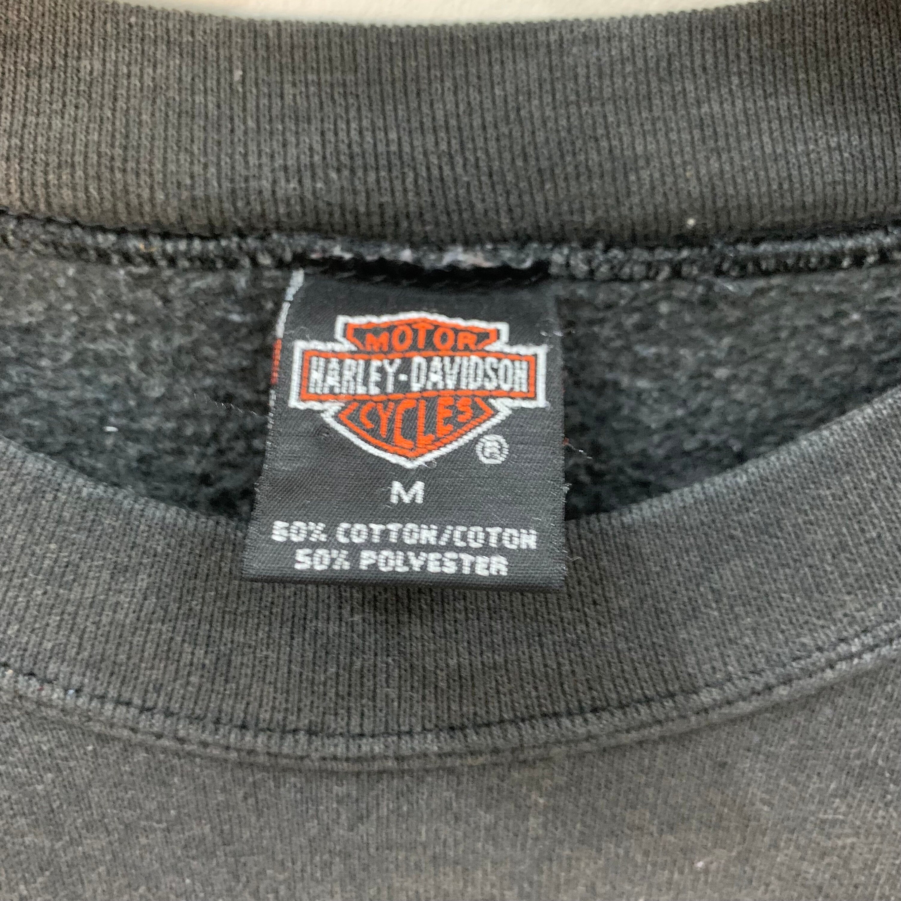 Rare Vintage Harley Davidson Sweatshirt / 1995 Vintage