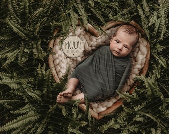 Digital Prop for Newborn - Digital background - Newborn Photography - Heart - greenery - fern - woodland