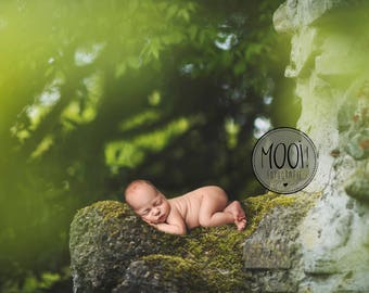 Digital Prop for Newborn - Digital background - Newborn Photography - Outside - Bed - nature - Forest