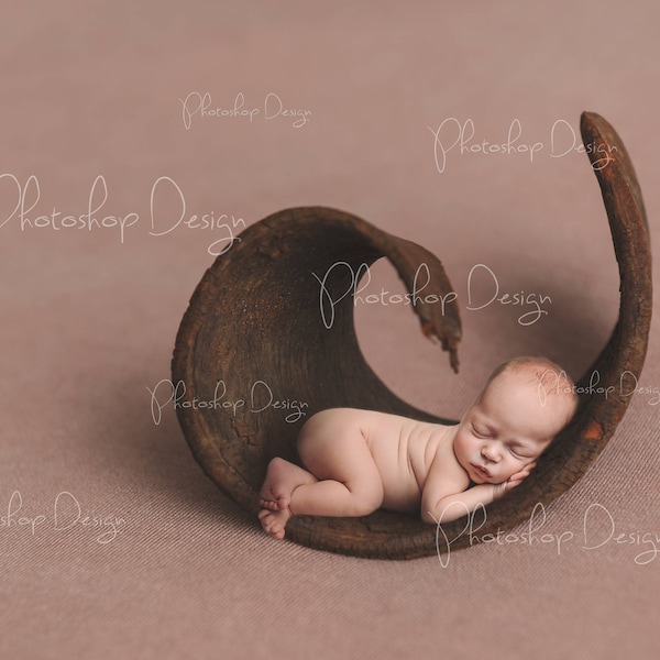 Digital Prop for Newborn - Digital background - Newborn Photography - Wood Curl - Bowl - Pure - Outside - Bed - nature - Forest