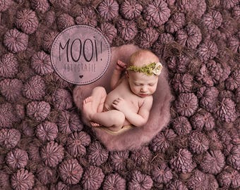 Digital Prop for Newborn - Digital background - Newborn Photography - layers - hanging basket - Bed - sunflower - wreath - woodland - flower