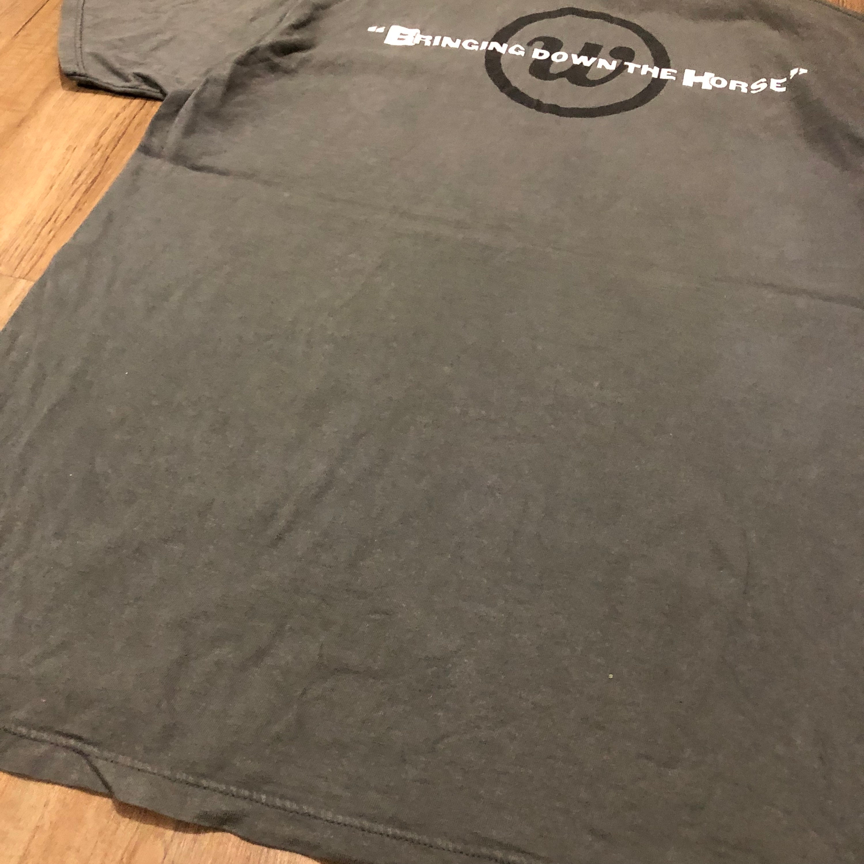 Vintage 90's the Wallflowers Shirt / Bringing Down the Horse