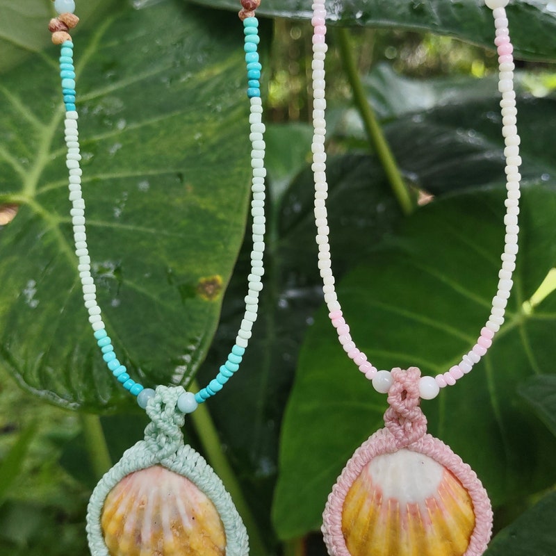 Sunrise Shell Necklace - Etsy