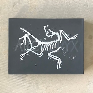 Arcyteryx Logo - Illustration Print