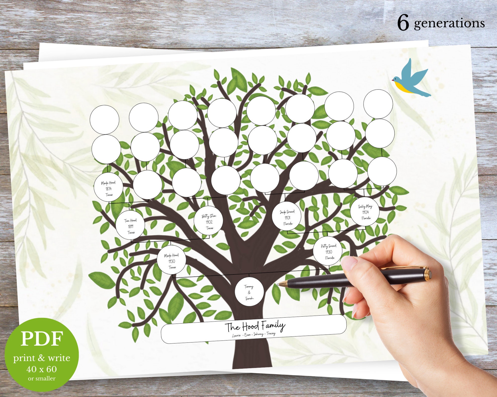 Printable and Fillable Family Tree - Etsy