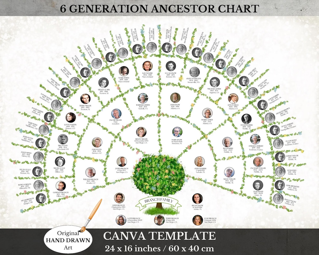 Family Tree Template ~ 6 Generations With Photos ~ Easy Edit in Canva ...