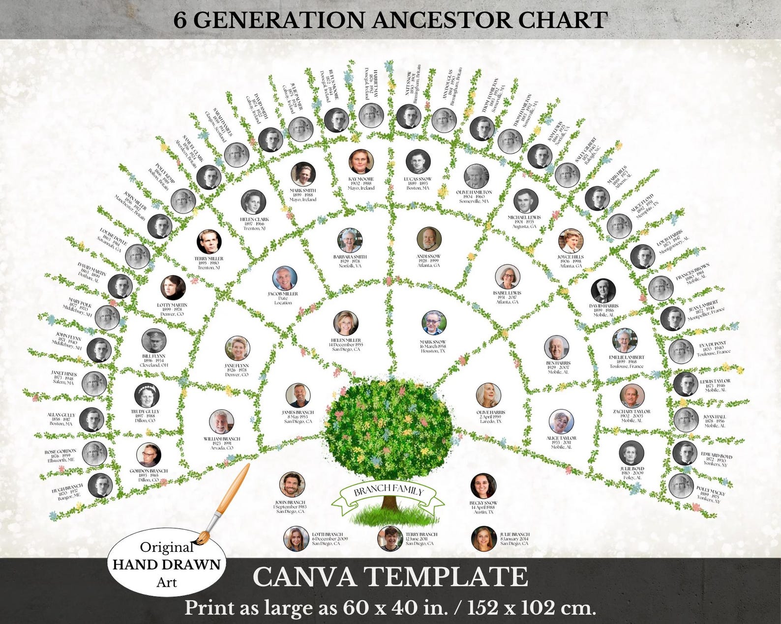 Family Tree Template ~ 6 Generations With Photos ~ Easy Edit in Canva ...