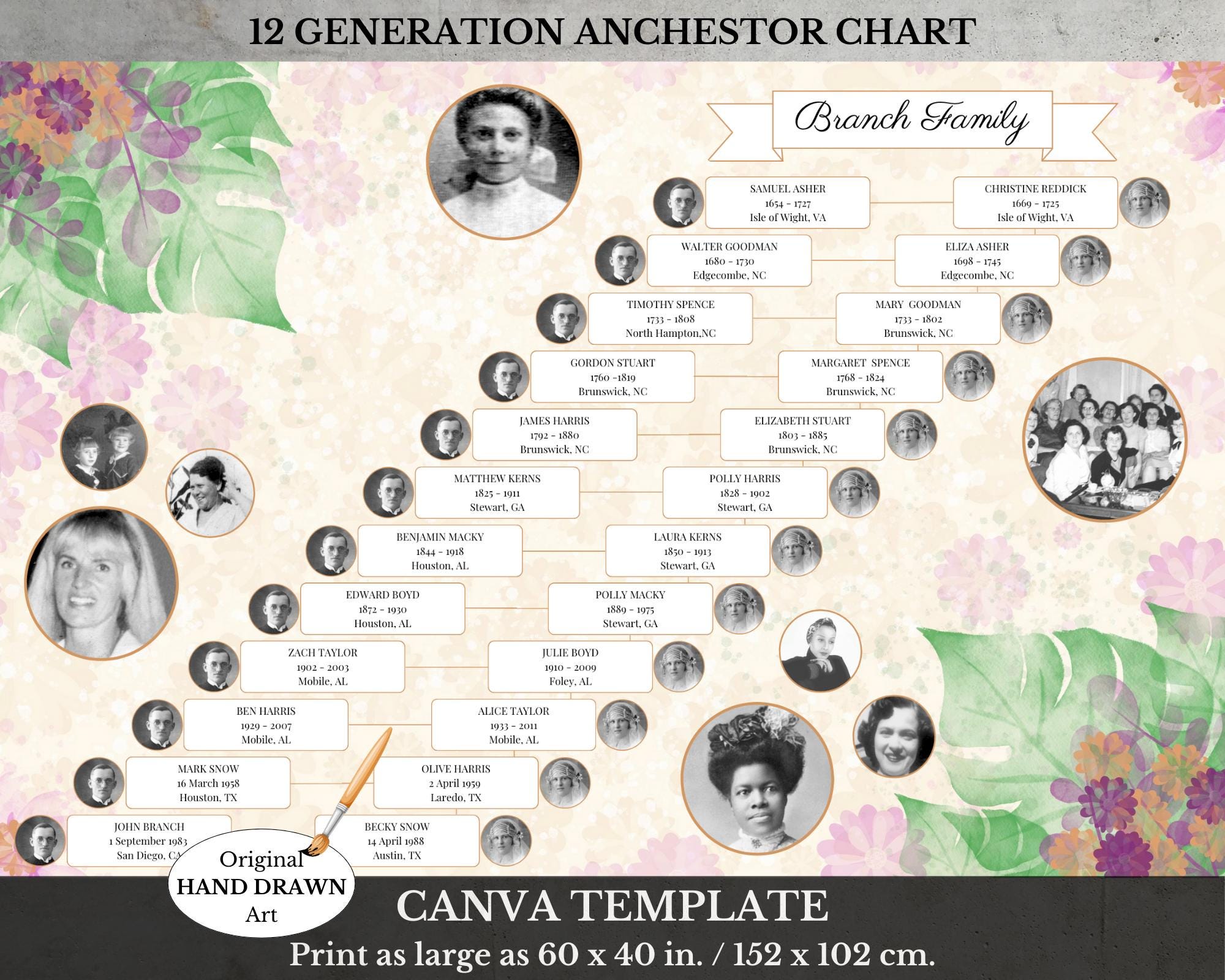 Family Tree Surname Chart ~ 12 Generation Ancestor Pedigree