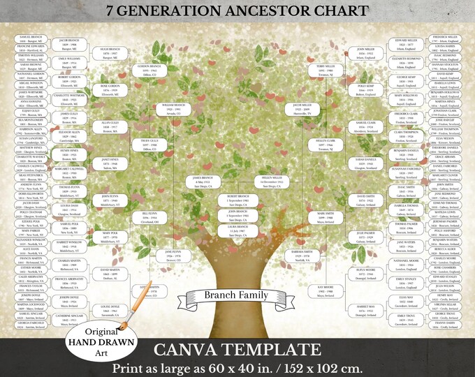B&W 8 Generation Family Tree Fan Chart Template (30x20, Canva) - Etsy ...