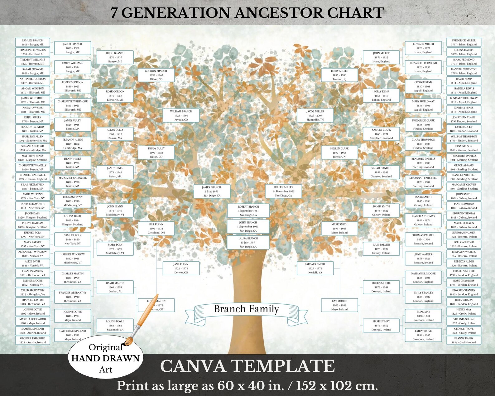 Family Tree Template ~ 7 Generation Ancestry Pedigree ~ Edit in Canva ...