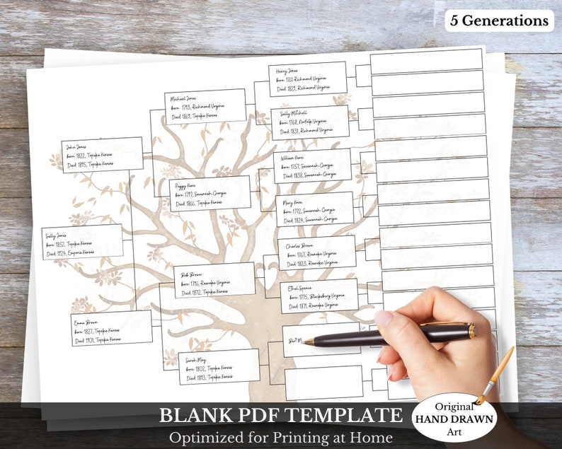 5 generation ancestor chart download, A4, 8.5 x 11 letter, research binder, genealogy, ancestry, 5 generation pedigree chart, family tree template, ancestry search, rootsweb, ancestry family tree, family ancestry, genealogical tree, lds genealogy