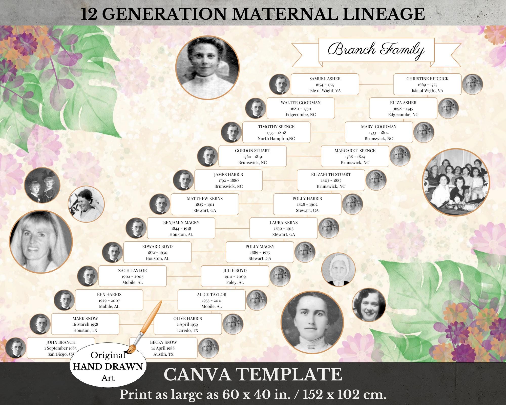 Family Tree Surname Chart ~ 12 Generation Maternal Pedigree