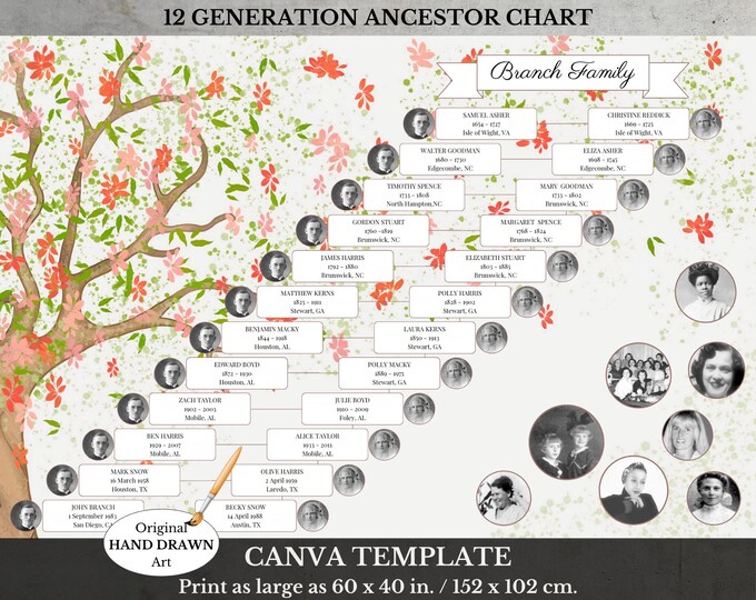 B&W 8 Generation Family Tree Fan Chart Template (30x20, Canva) - Etsy ...