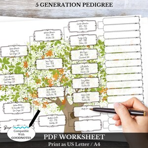 5 Generation Family Tree Chart: DIY Genealogy PDF Pedigree ~ ZOLA ...