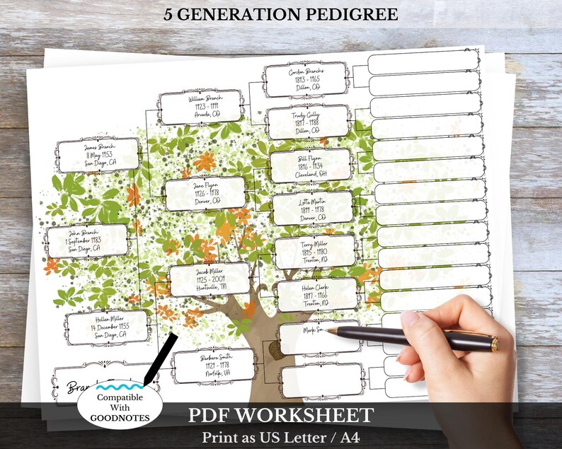 Constitution Tree Image Chart.pdf 5 Generation Family Tree Chart: DIY Genealogy PDF Pedigree ~ ZOLA ...