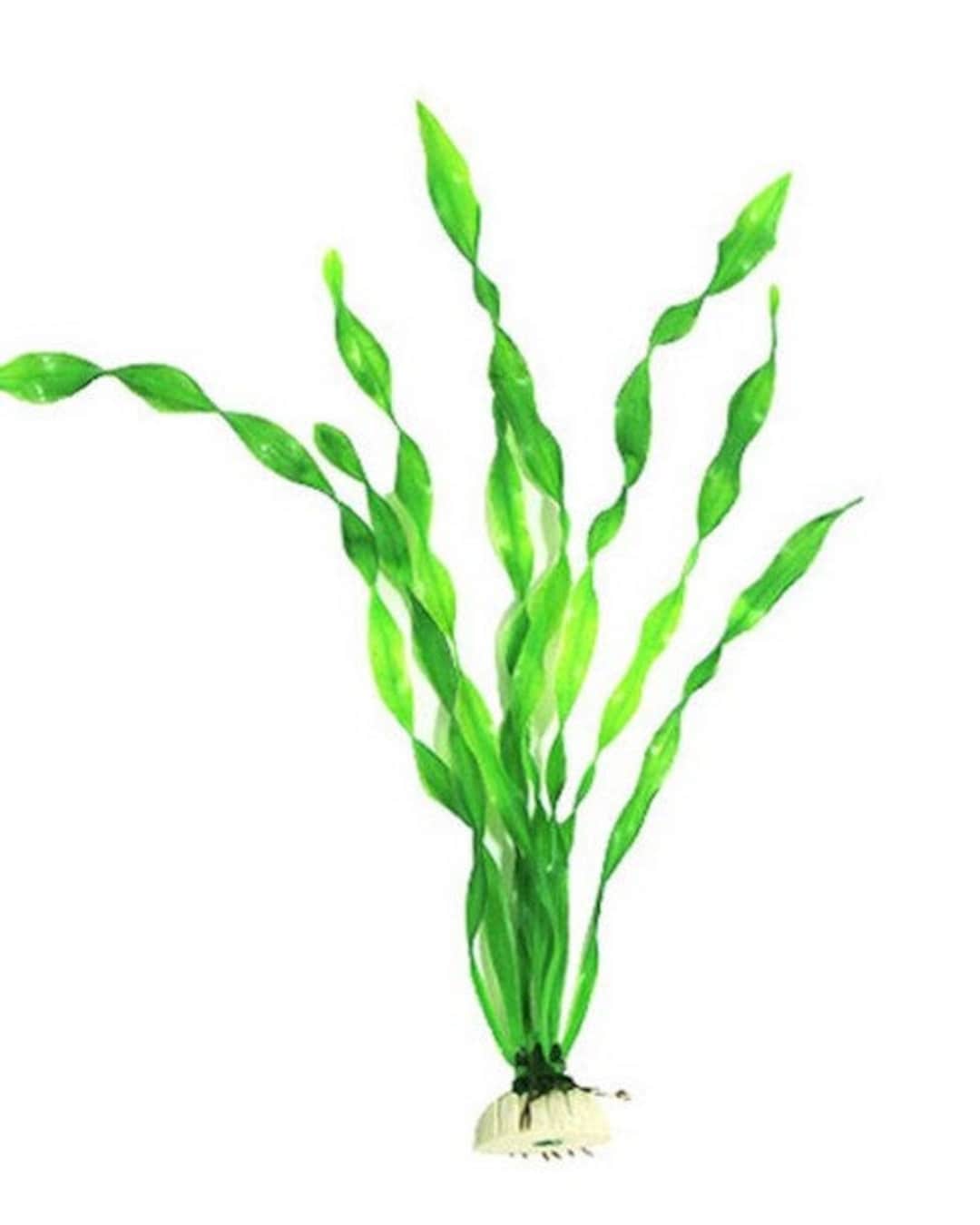 Artificial Corkscrew Val Lifelike Aquarium Plant 12 Tall Etsy