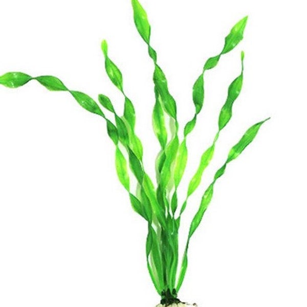 Artificial Corkscrew Val - Lifelike Aquarium Plant - 12" Tall!