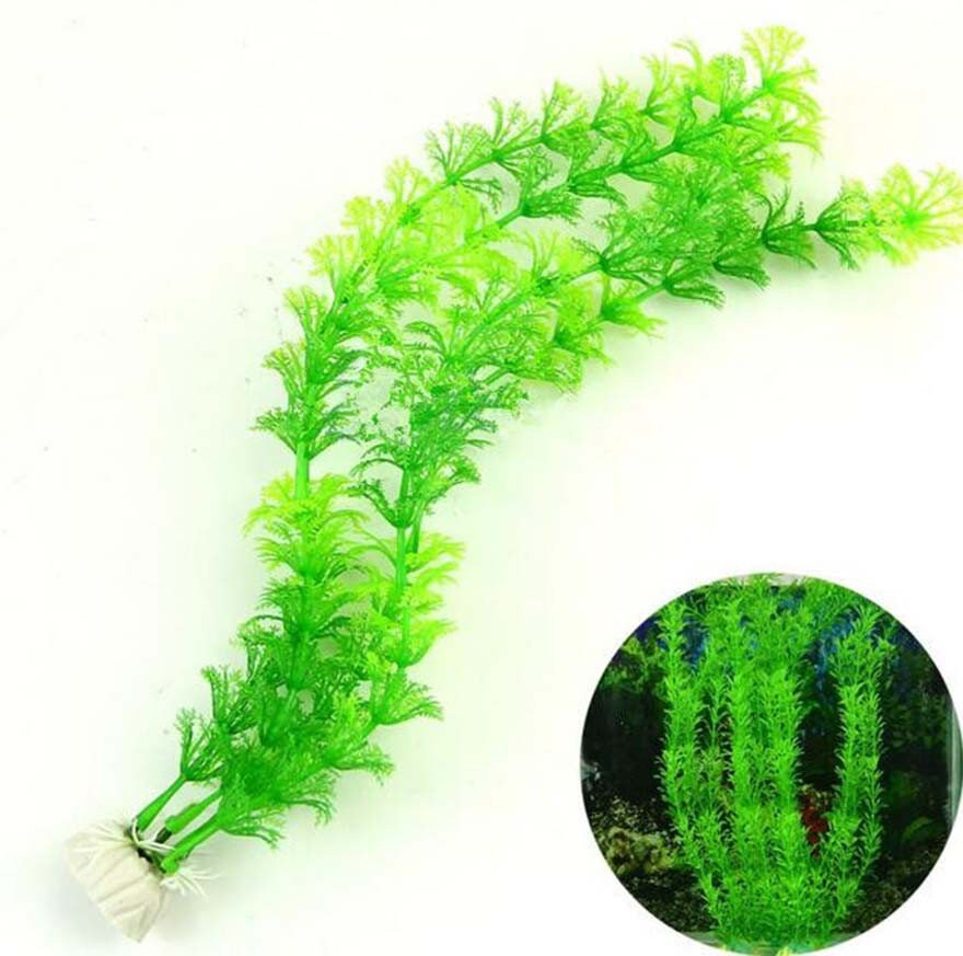  POPETPOP 20 Pcs Aquarium Landscaping Tropical Aquarium Plants  DIY Aquarium Grass Aquarium Decor Home Fish Tank Grass Aquarium Plants Live  Aquarium Plant Grass Plastic Betta Fish Accessories : Pet Supplies