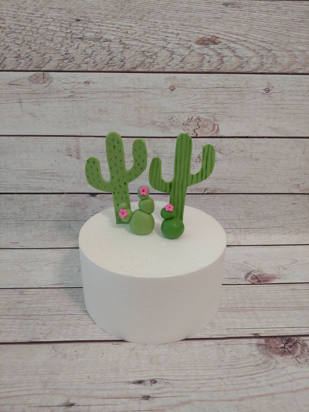 Fondant Cactus Cake Toppers Cactus Cake Topper Fondant Etsy